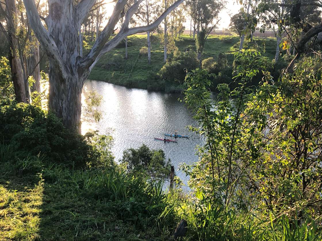 One Tree Farm Hipcamp in Fernvale, Queensland