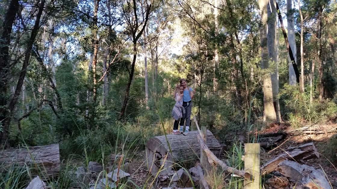 Hobbs Bay Farm Narooma - Hipcamp in Narooma, New South Wales