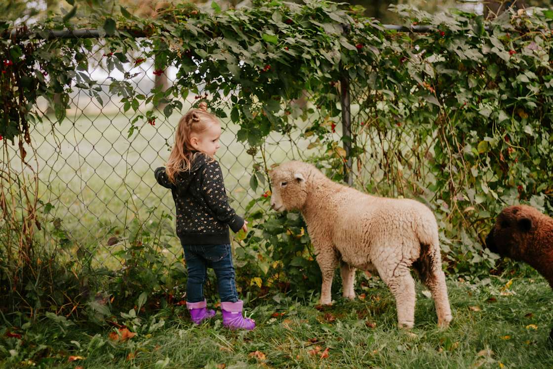 Evergreen Oasis Farm Hipcamp in Lindstrom, Minnesota