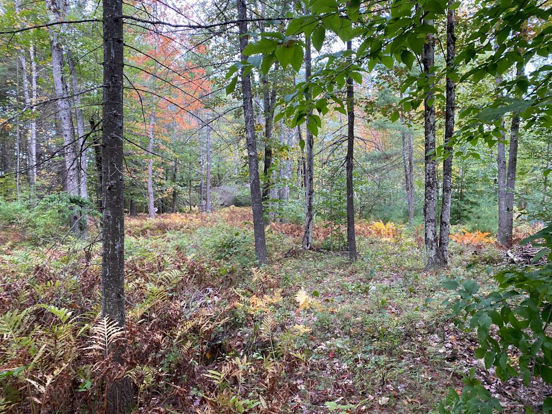Tender Field Farm Hipcamp in Lewiston, Maine