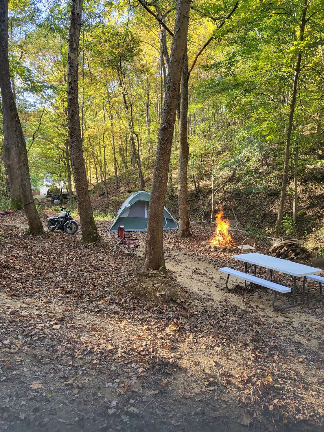 Yourway Camp Hipcamp in South Bloomingville, Ohio