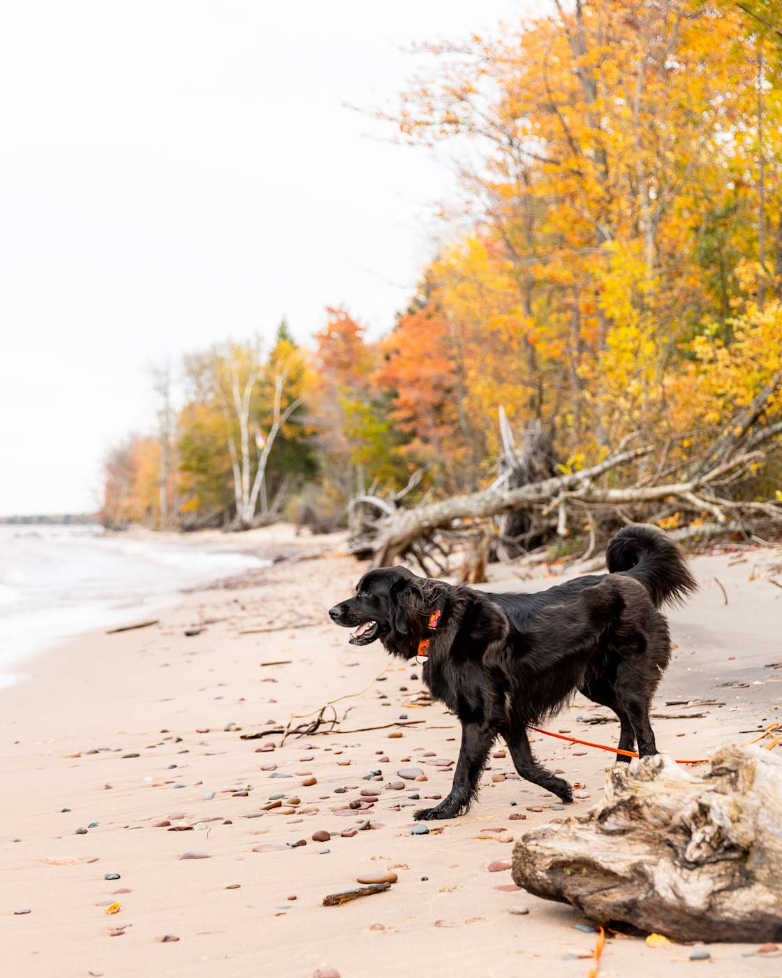 Beach Camp Hipcamp in Ontonagon, Michigan