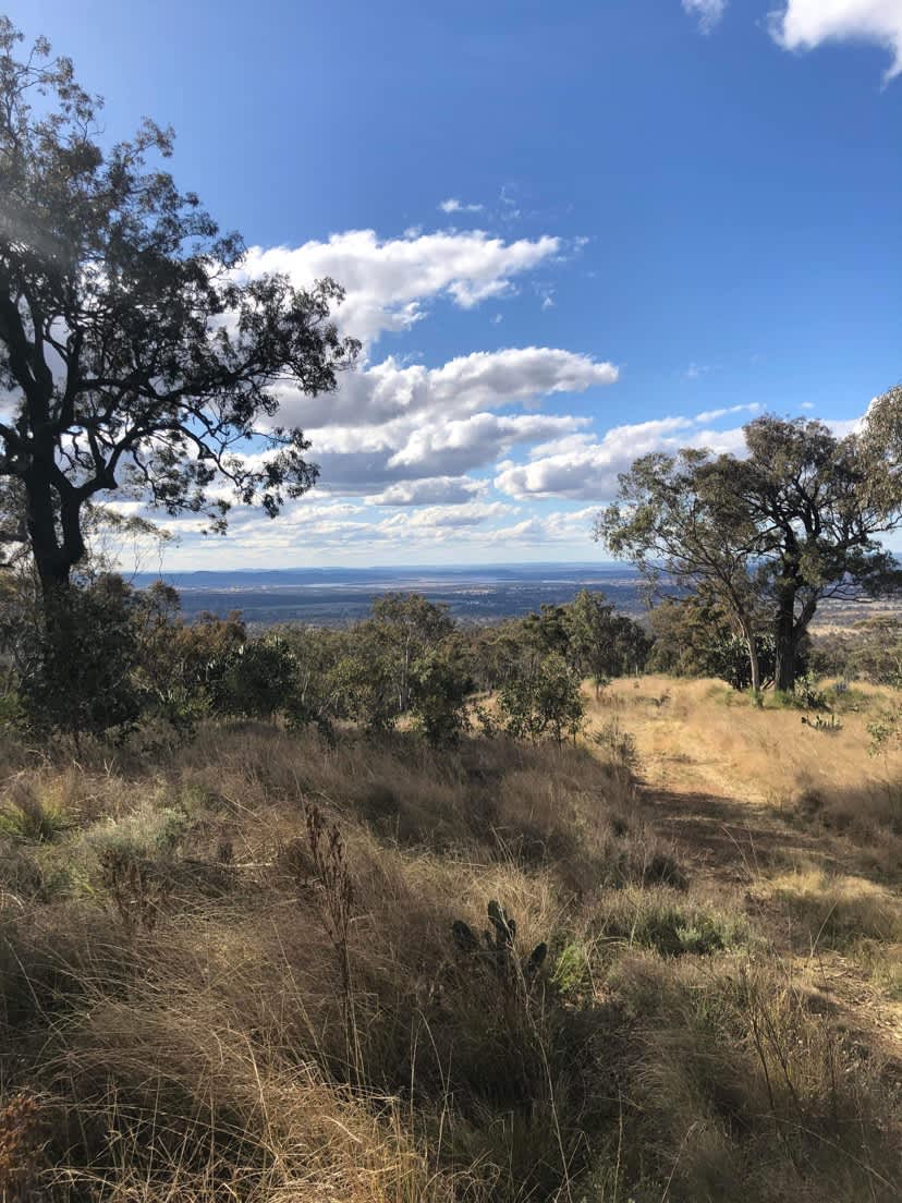 Up & Away Braeside Hipcamp in Dalveen, Queensland