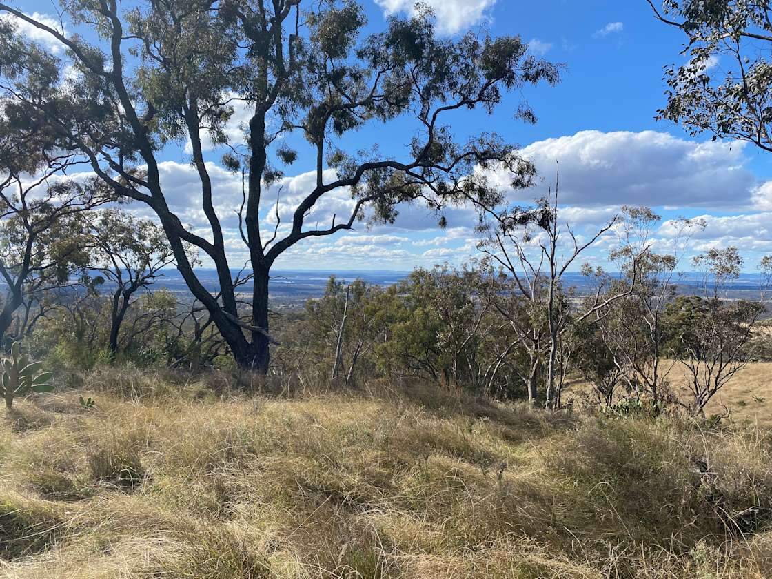 Up & Away Braeside Hipcamp in Dalveen, Queensland