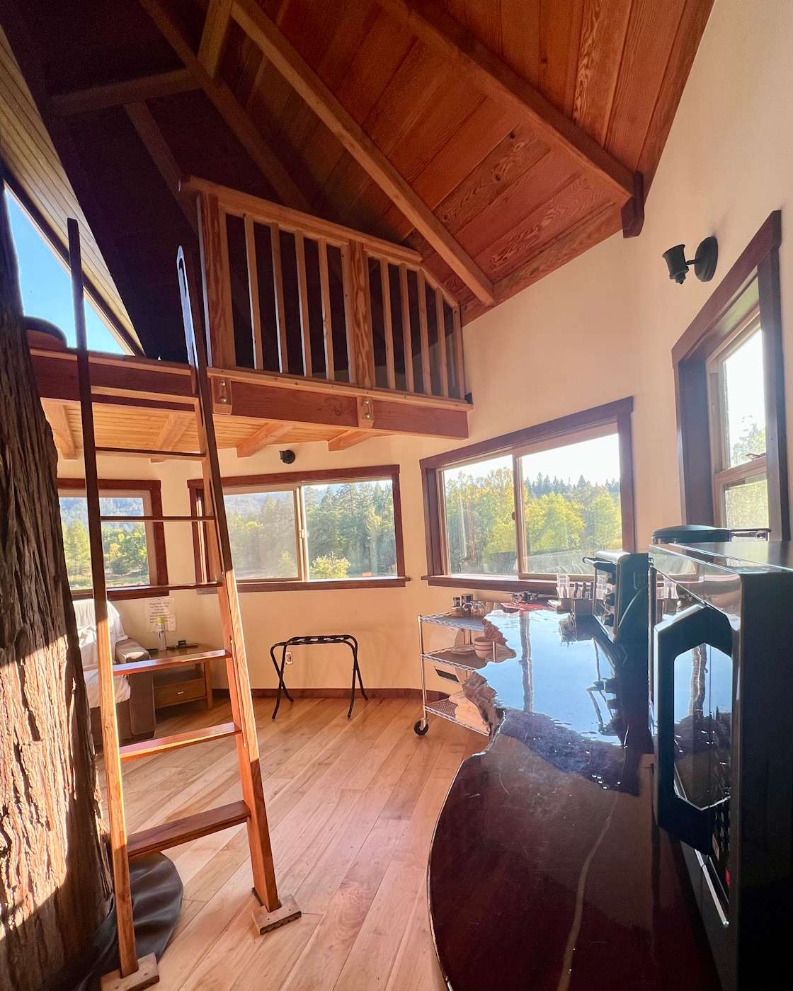 Green friendly treehouse Hipcamp in Cave Junction, Oregon