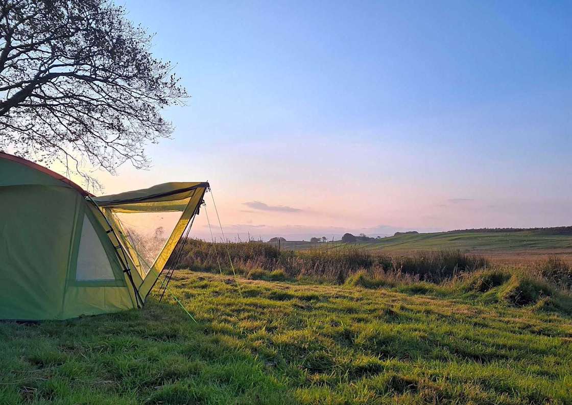 Ffynnonwen Farm Wild Camping Hipcamp in Bontnewydd, Wales
