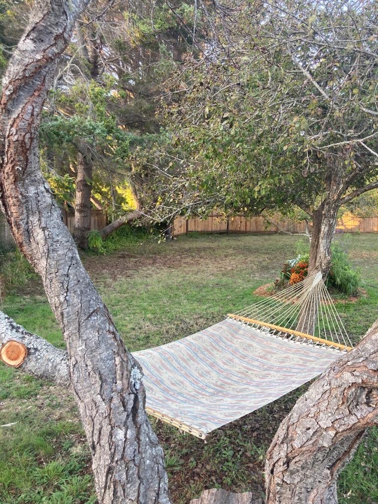 Mendocino Shroom Shack - Hipcamp in Cleone, California