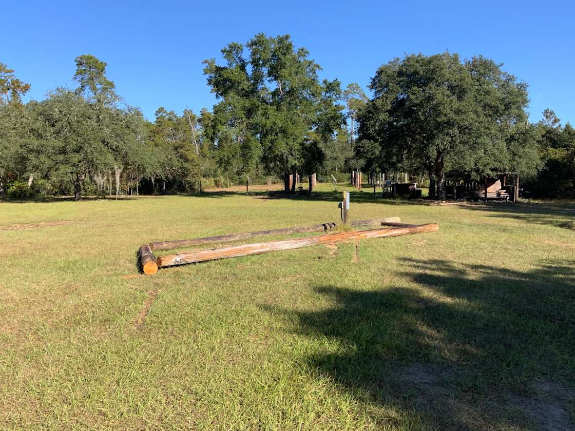 Golden Oaks Farm Hipcamp in Salt Springs, Florida