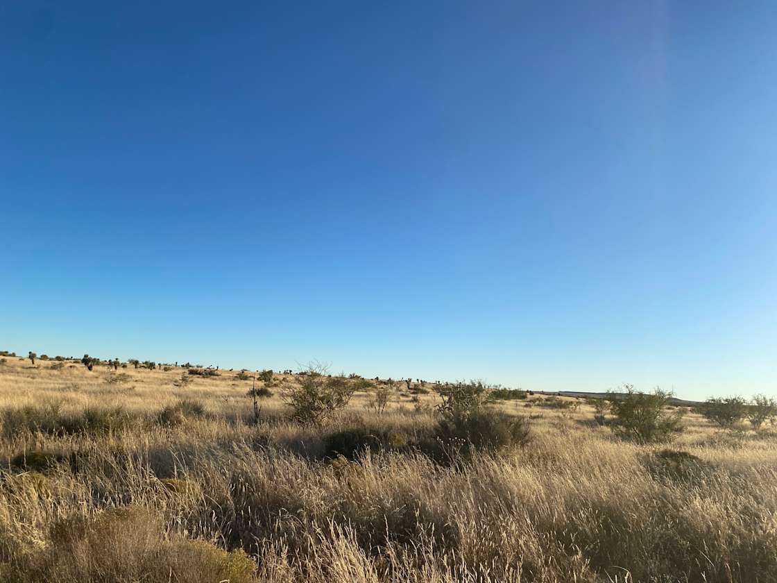 Forrest Hollow Ranch Hipcamp in Sierra Blanca, Texas