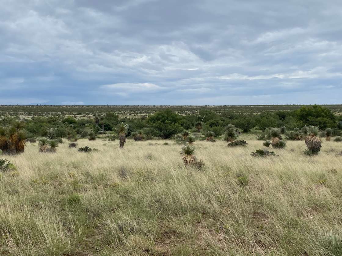 Forrest Hollow Ranch Hipcamp in Sierra Blanca, Texas