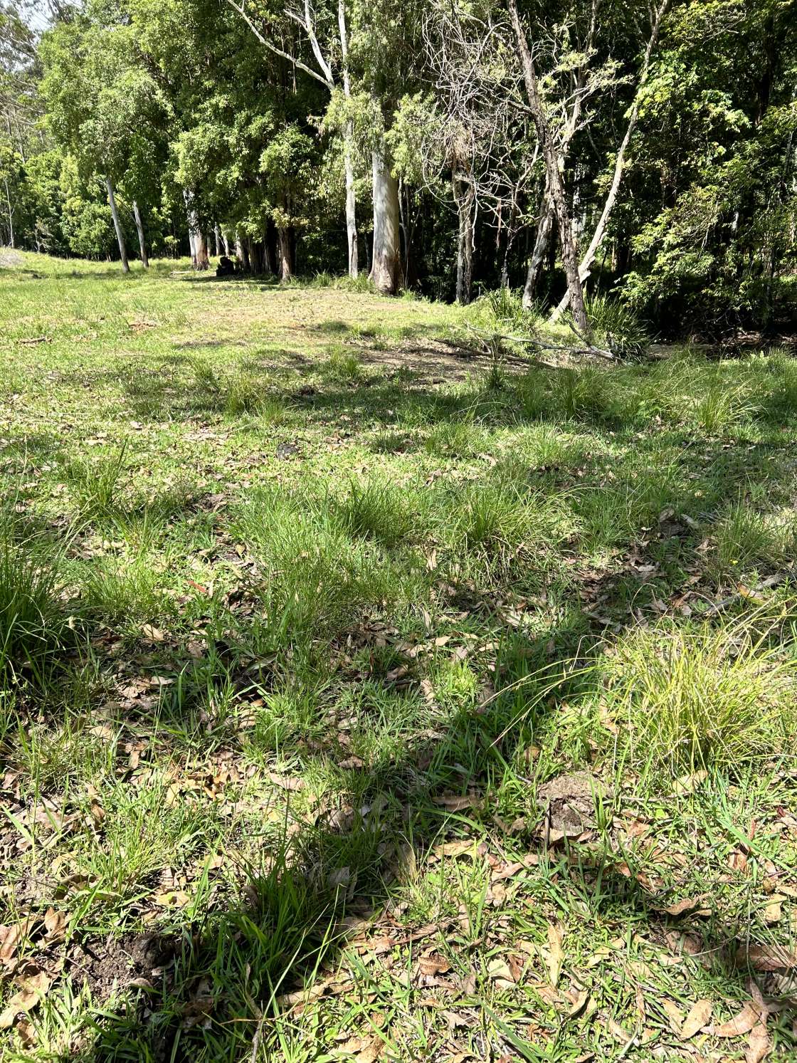 Stoney Creek - Hipcamp in Boolambayte, New South Wales