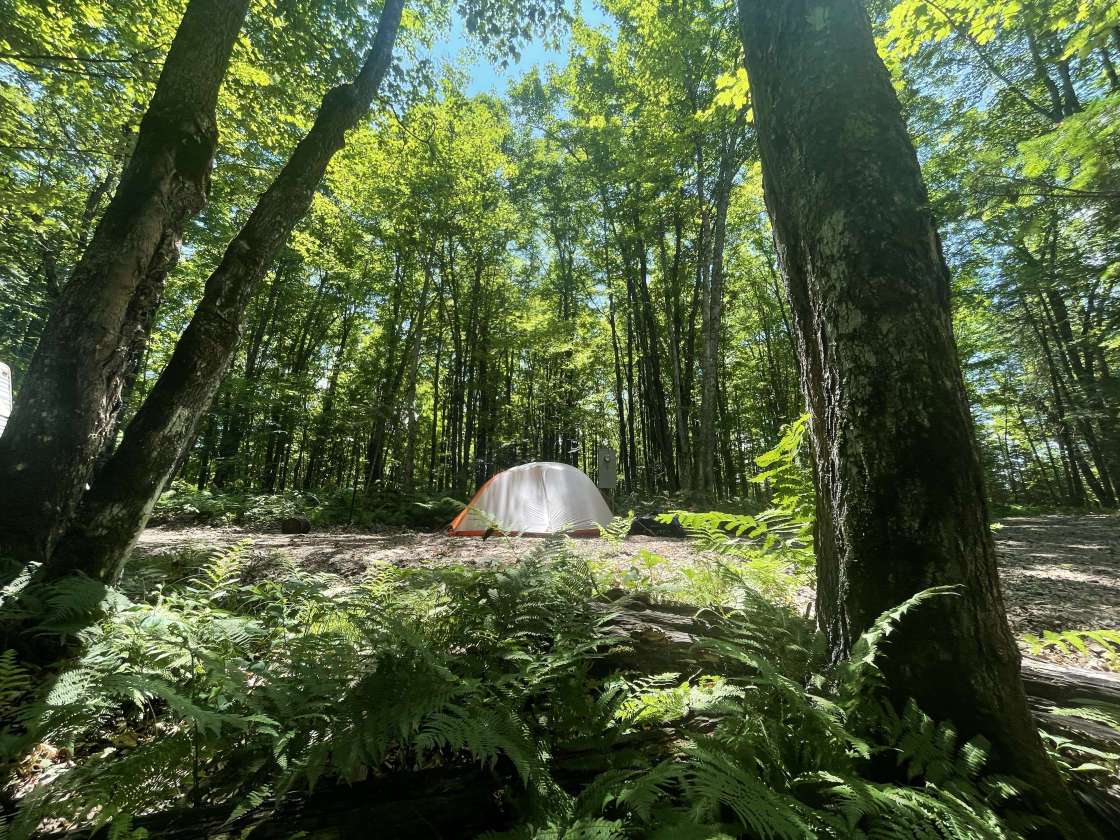 Chippewa River Forest Hipcamp in Winter Wisconsin