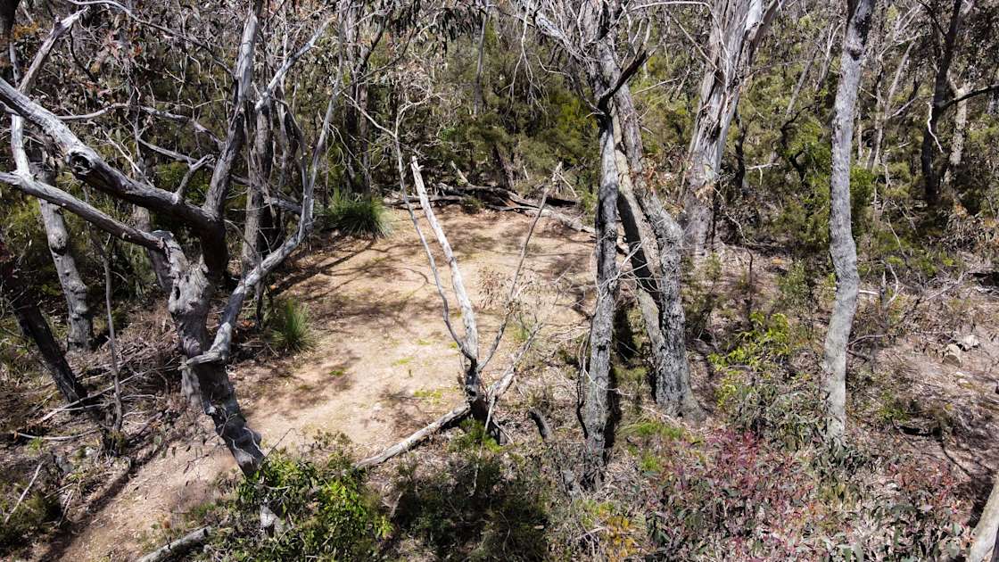 Camp Medlow Hipcamp in Medlow Bath, New South Wales