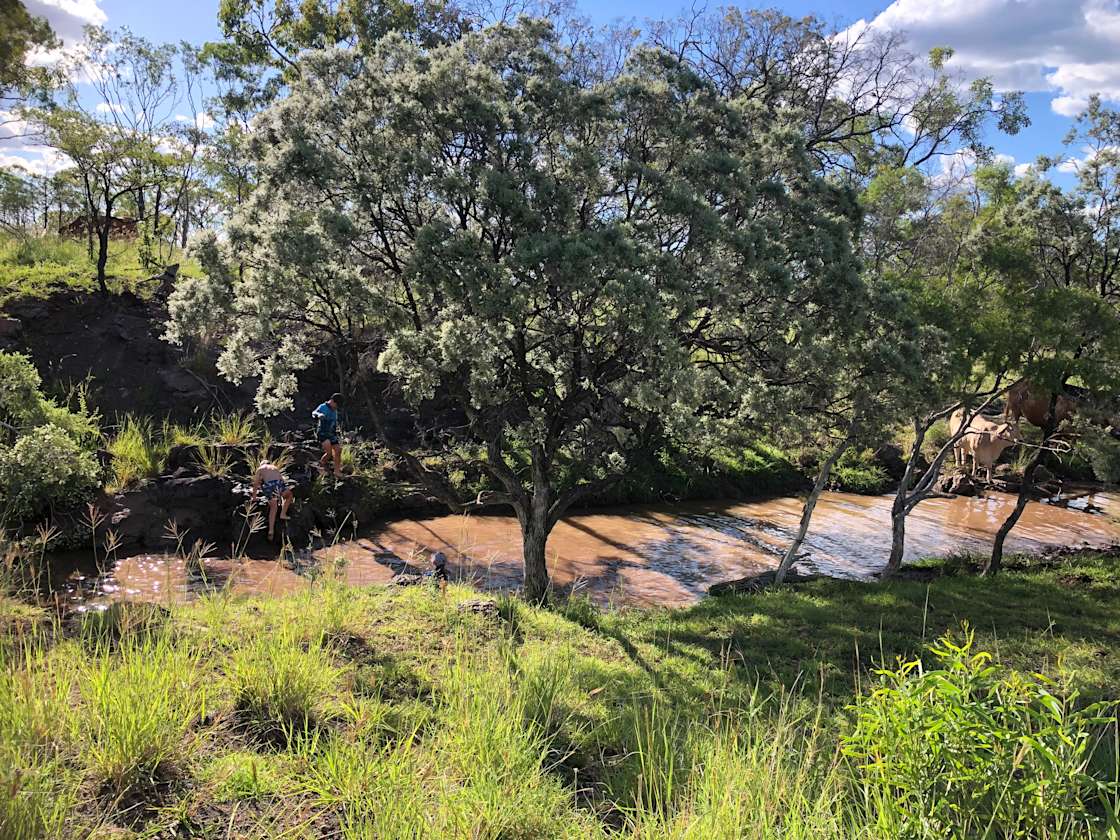Rocky Ridge Hipcamp in Springsure, Queensland
