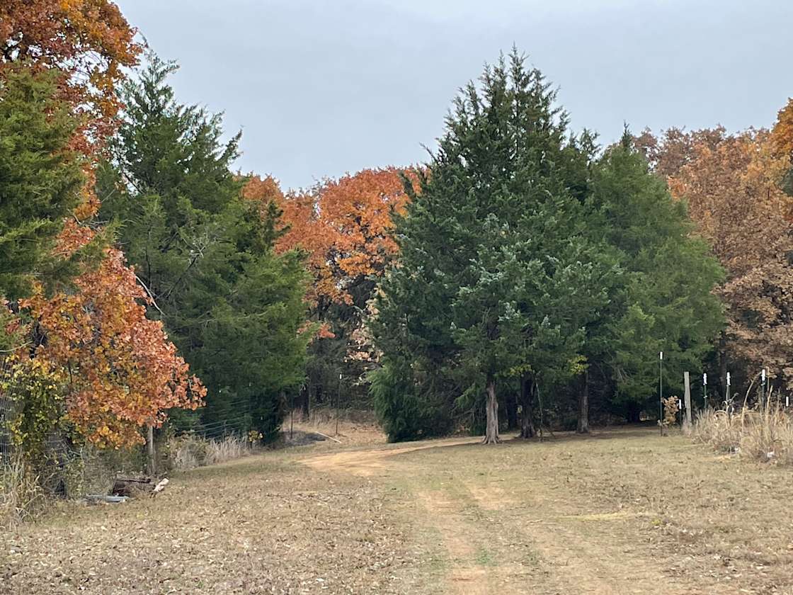 Hideout Ridge Hipcamp in Covington, Texas