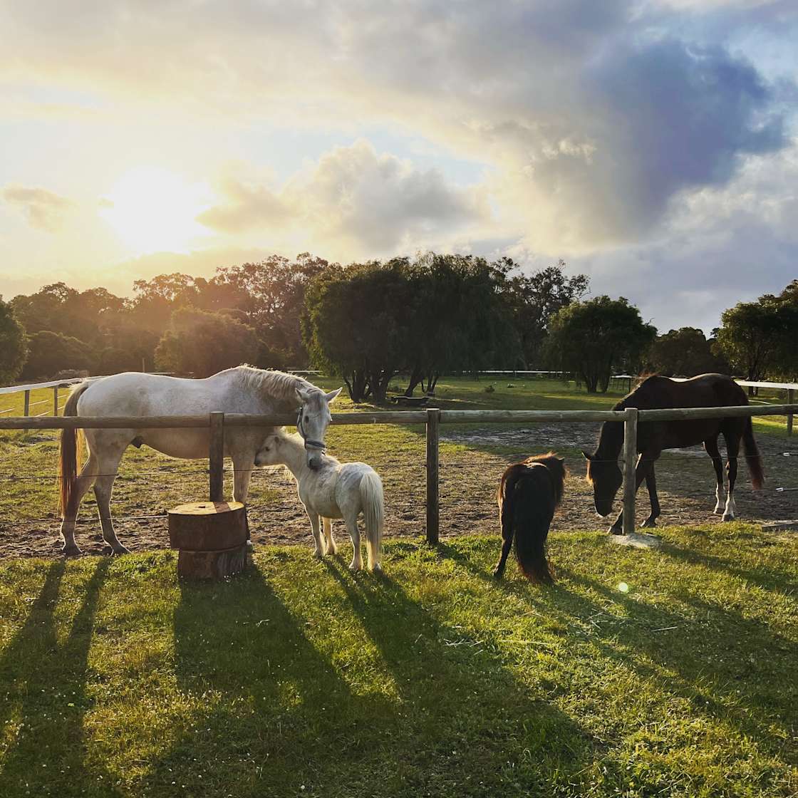 Solitaire Homestead - Hipcamp in Naturaliste, Western Australia