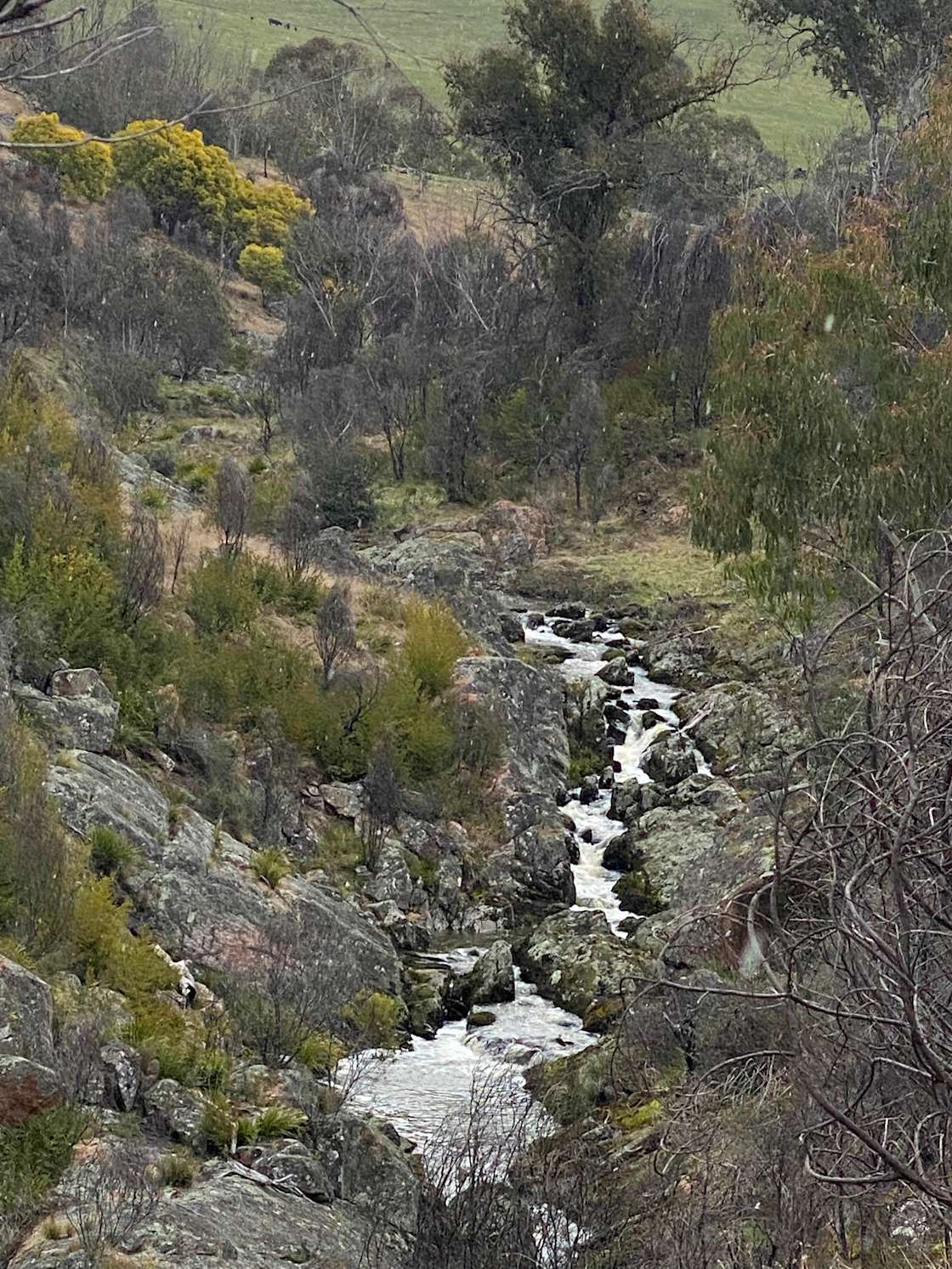 Two Creeks Meet Hipcamp in Wulgulmerang East, Victoria
