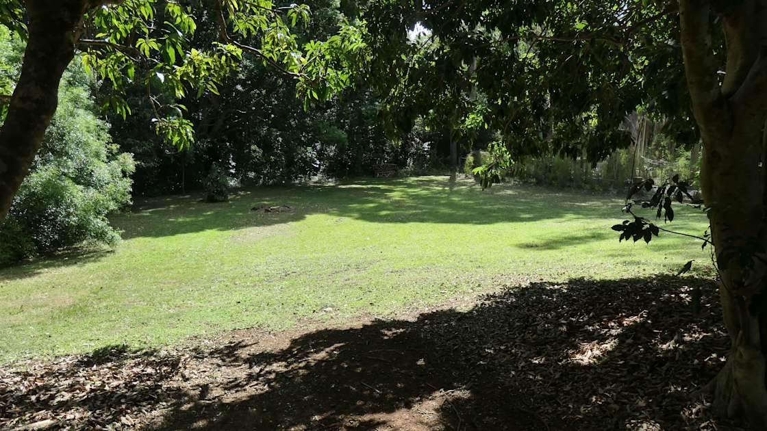 Possum Wood Paradise Hipcamp in Mullumbimby, New South Wales