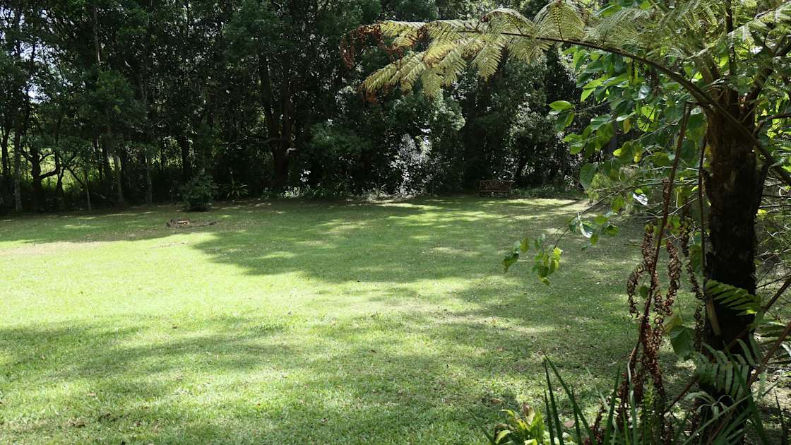 Possum Wood Paradise Hipcamp in Mullumbimby, New South Wales