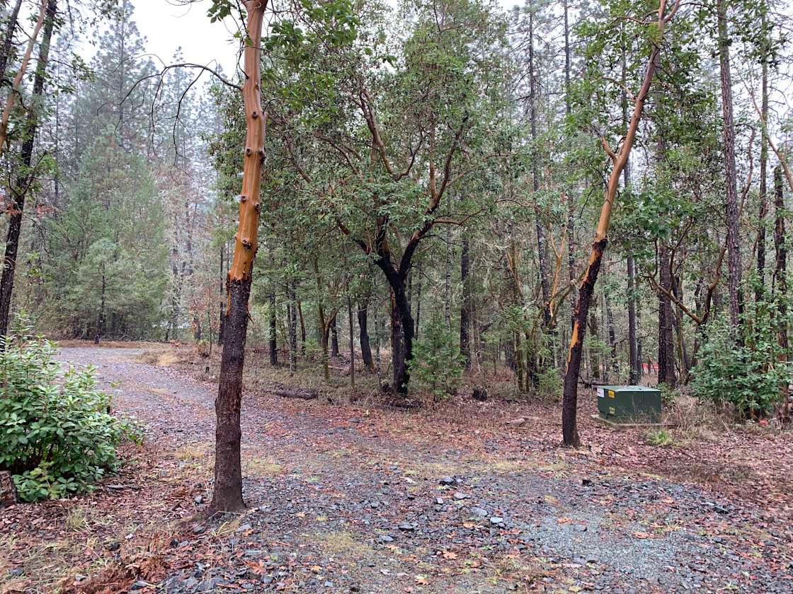 Rogue River Artist Retreat Hipcamp in Rogue River, Oregon