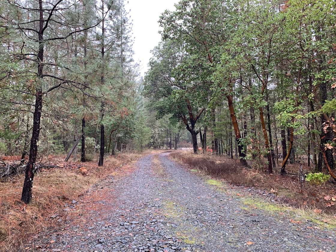 Rogue River Artist Retreat Hipcamp in Rogue River, Oregon