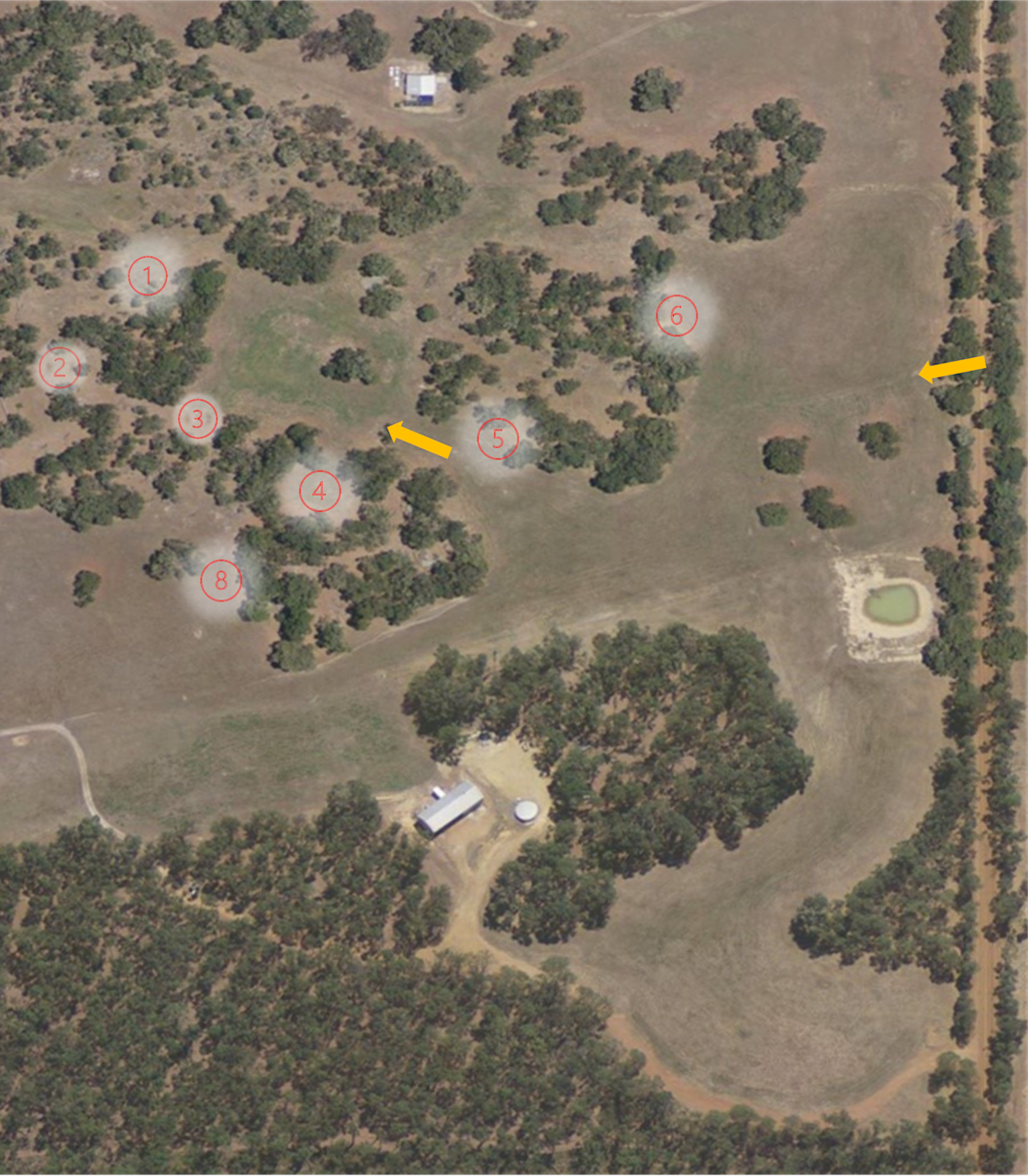 Blackwood River Estate Hipcamp in Benjinup, Western Australia
