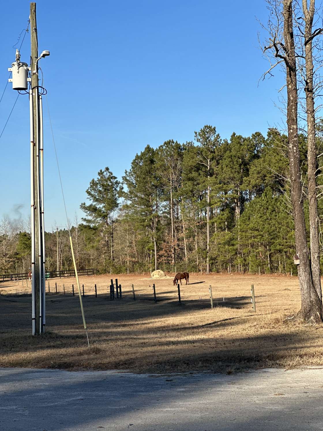 Auggie Roo Acres - Hipcamp in Richlands, North Carolina