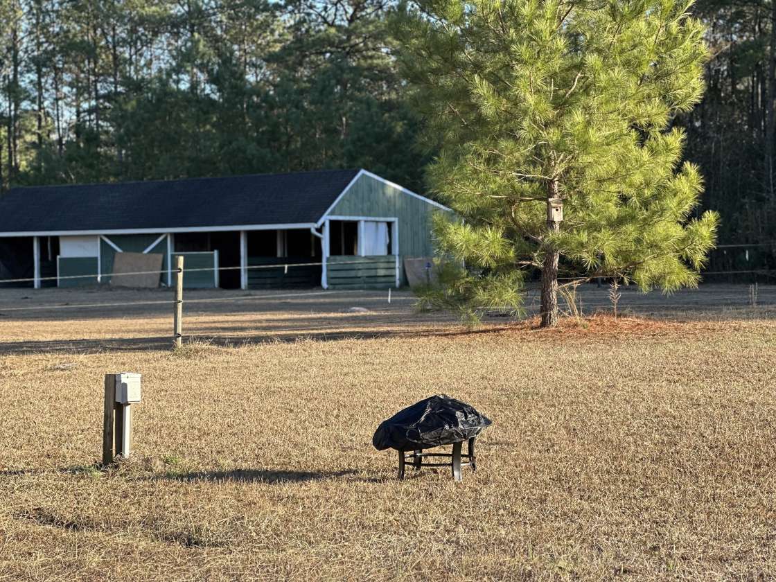 Auggie Roo Acres - Hipcamp in Richlands, North Carolina