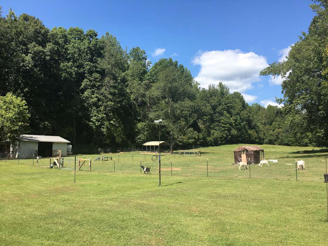 Merchants Country Farm - Hipcamp in Linden, Tennessee