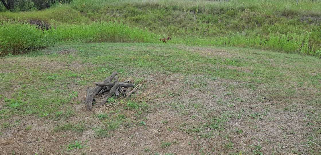 Stockyard Creek by Nanango Hipcamp in Wyalla, Queensland