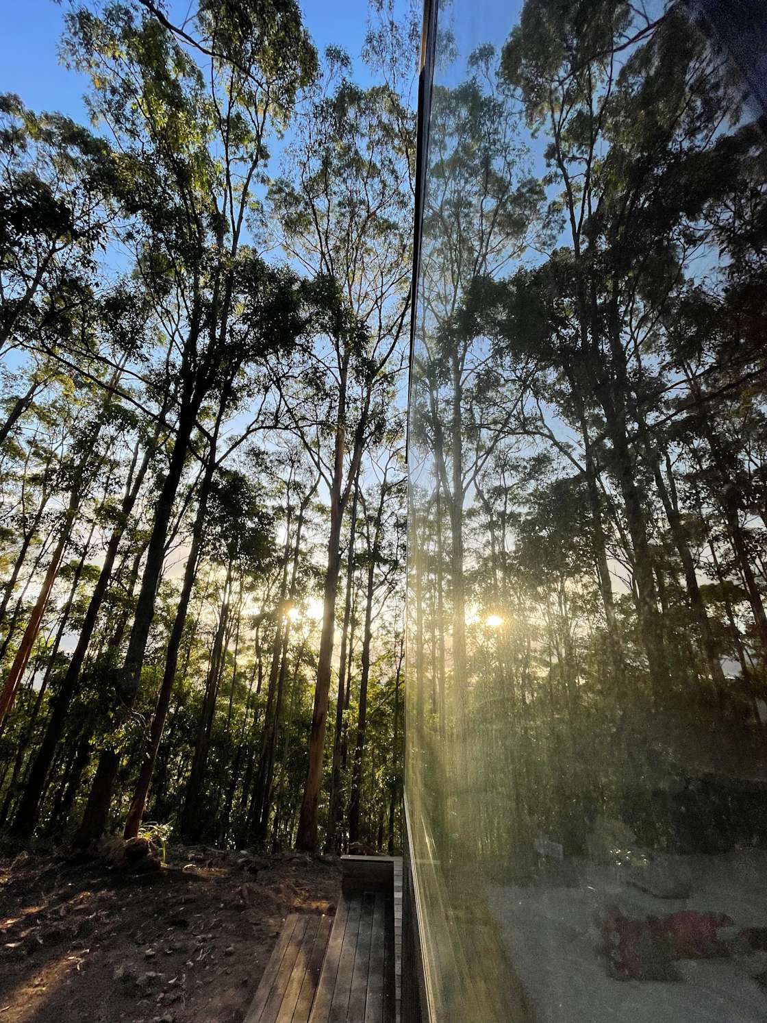 Black Cockatoo Valley Hipcamp in Witta, Queensland