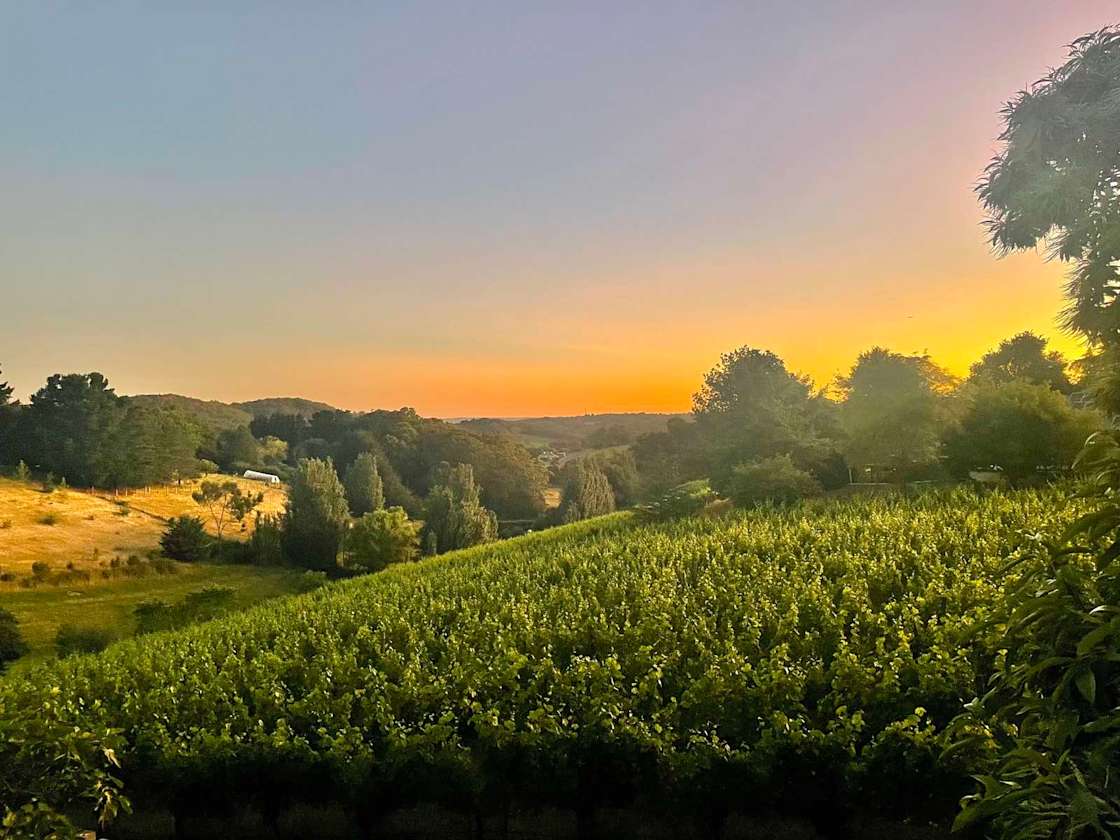 Potters Hill Farm Hipcamp in Uraidla Summertown, South Australia
