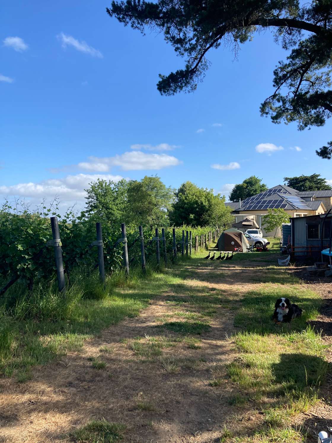 Potters Hill Farm Hipcamp in Uraidla Summertown, South Australia