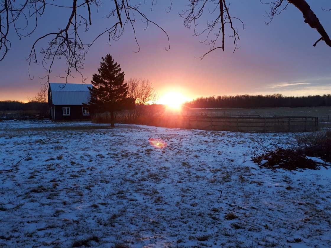 Clover Valley Farm - Hipcamp in Assiginack, Ontario