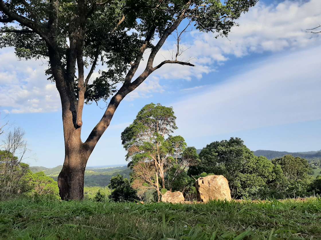 Binalong Forest Retreat Hipcamp in Upper Burringbar, New South Wales