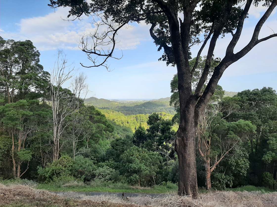 Binalong Forest Retreat Hipcamp in Upper Burringbar, New South Wales