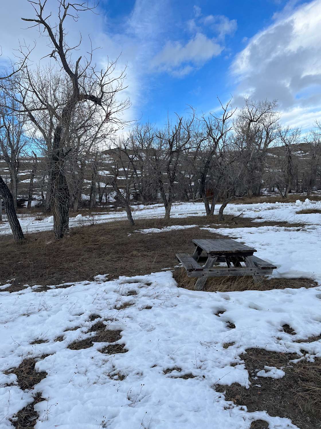 Hook's Hideaway Campground Hipcamp in Babb, Montana
