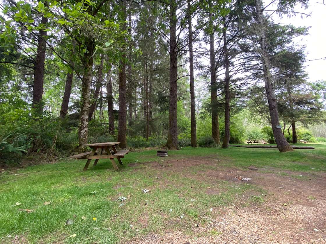 Echoes Of The Sea Hipcamp in Copalis Beach, Washington