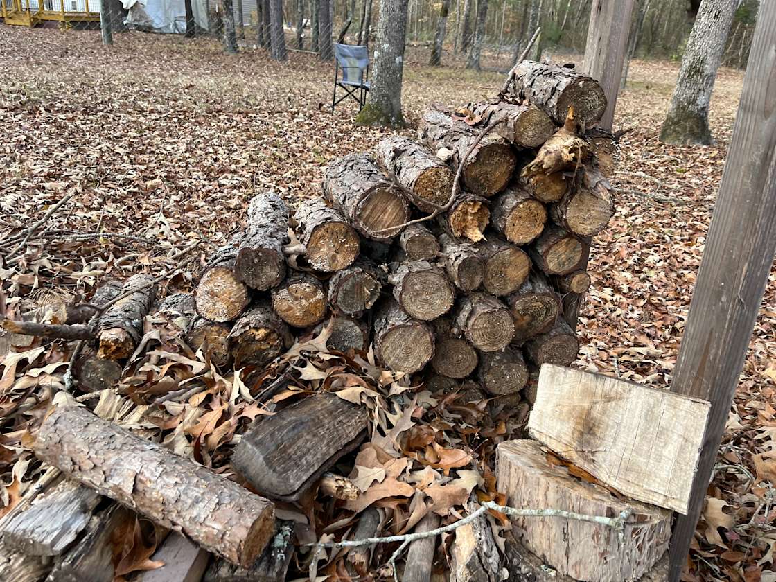 Southern Pines Campground Hipcamp in Marston, North Carolina