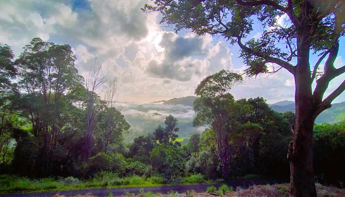 Binalong Forest Retreat Hipcamp in Upper Burringbar, New South Wales