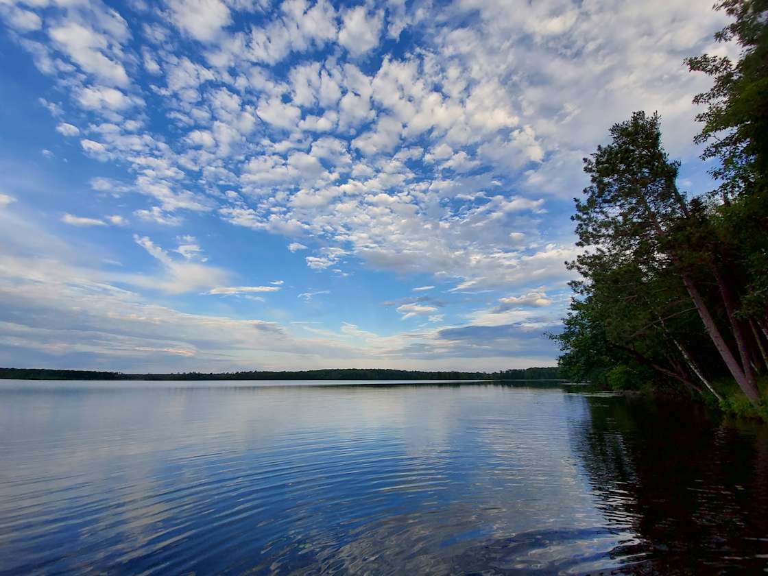 Wise Woods on Fool Lake - Hipcamp in , Minnesota