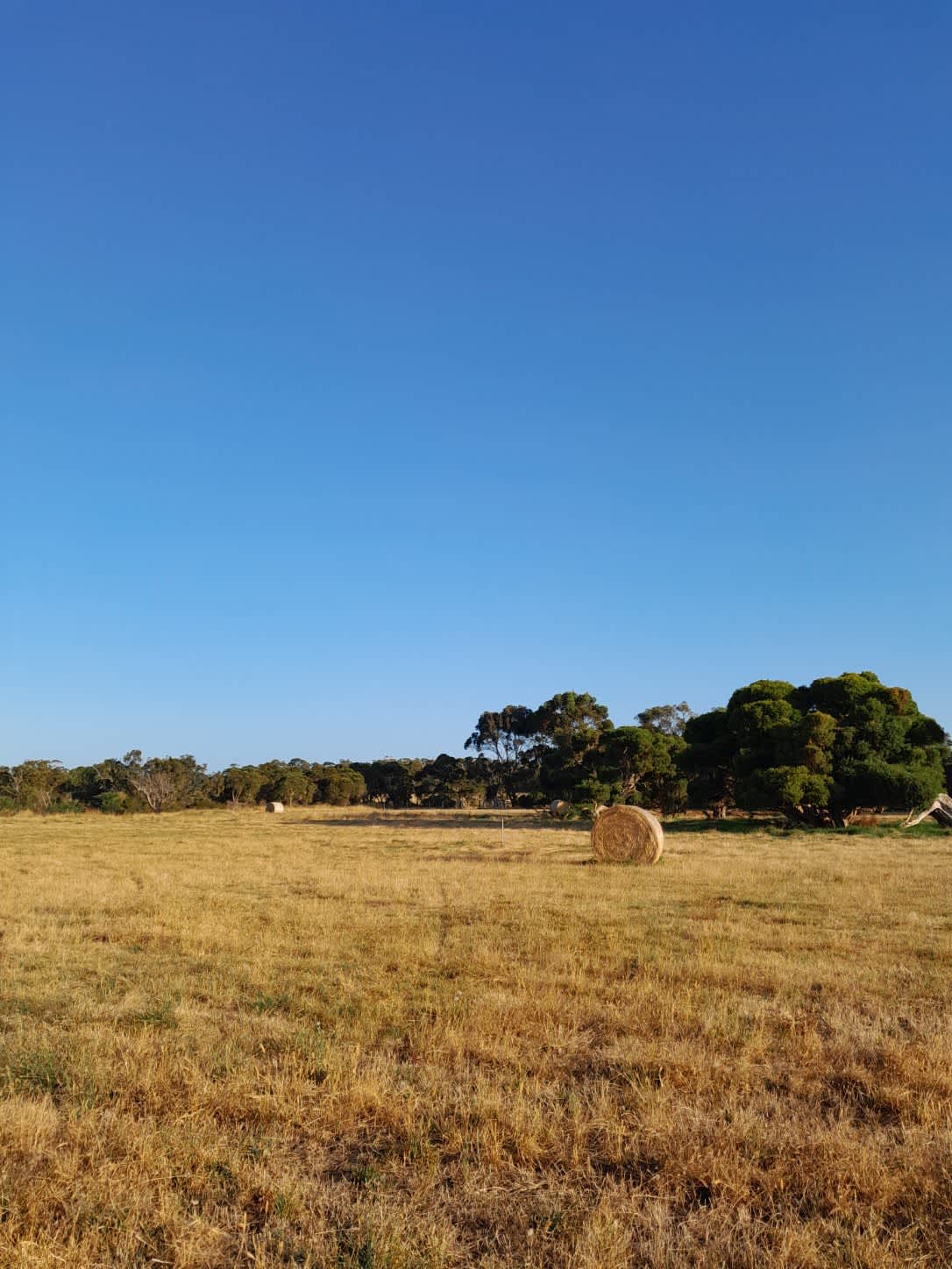 Fairfield Hipcamp in Torbay, Western Australia