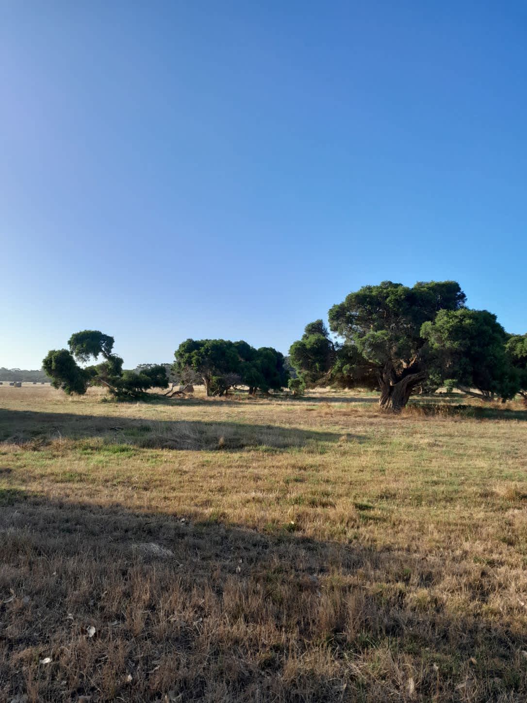 Fairfield Hipcamp in Torbay, Western Australia