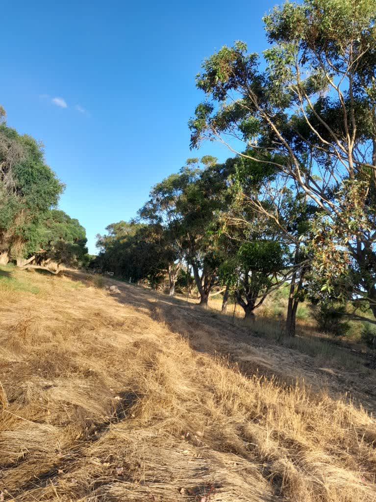 Fairfield Hipcamp in Torbay, Western Australia