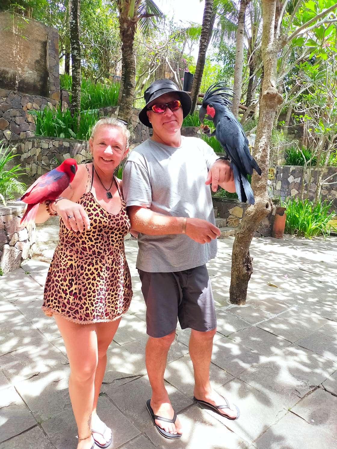 Wedderburn Hideaway Hipcamp in Wedderburn, New South Wales