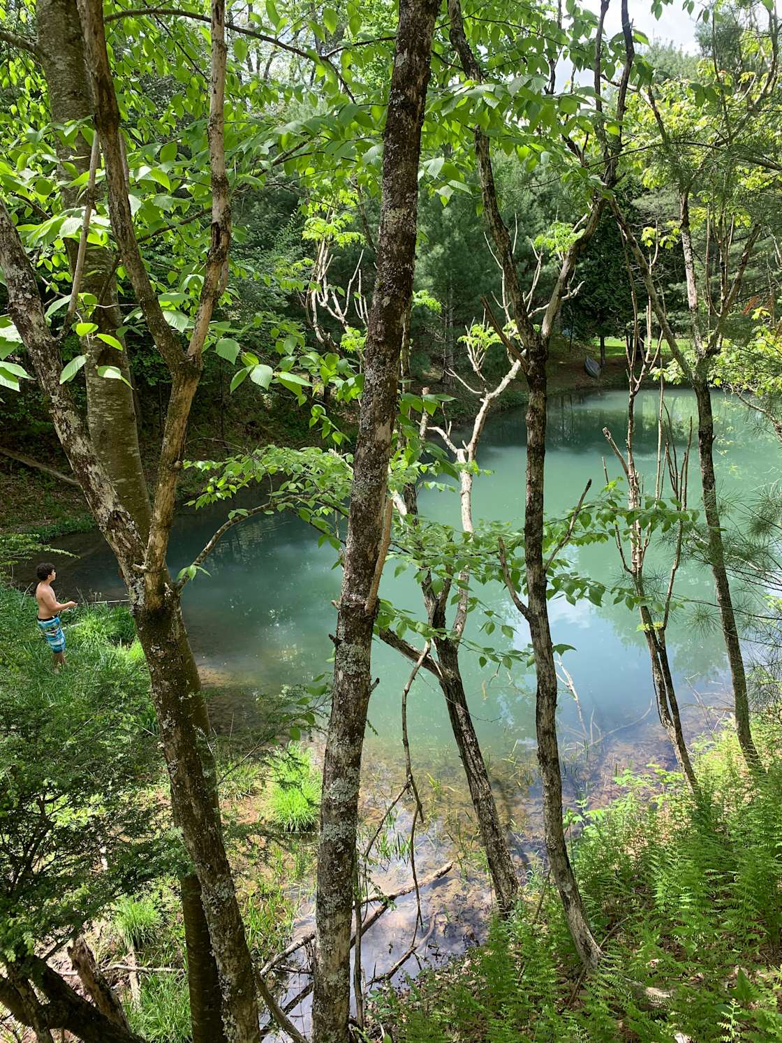 MountainTop Hipcamp in Sugar Grove, West Virginia