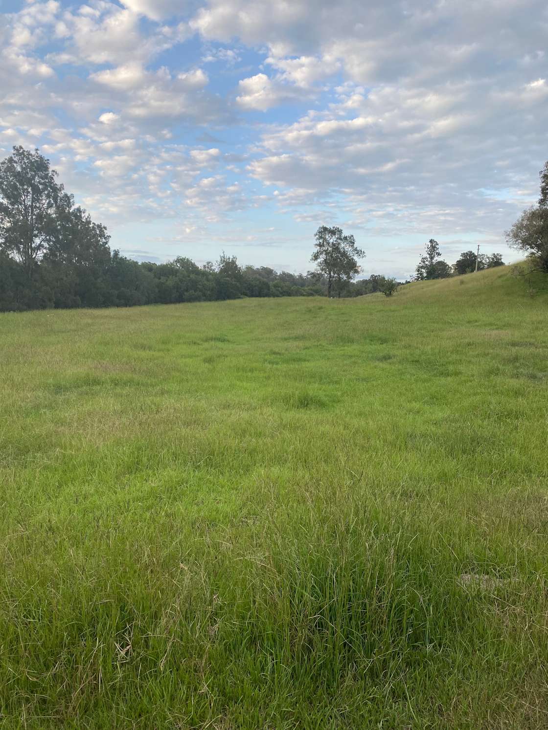 Ellerslie Farm Hipcamp in Kempsey, New South Wales