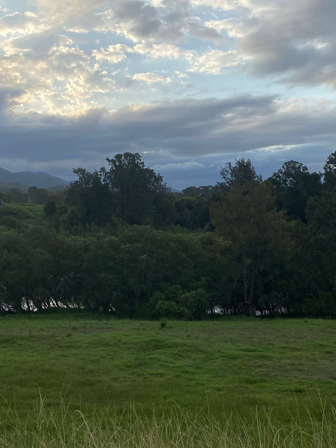 Ellerslie Farm Hipcamp in Kempsey, New South Wales