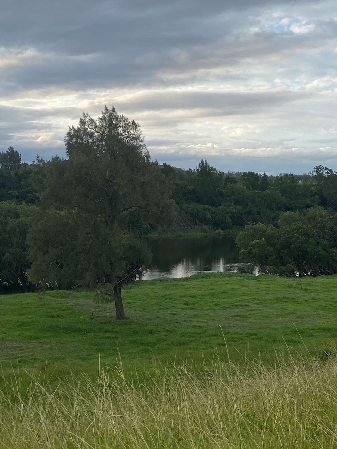 Ellerslie Farm Hipcamp in Kempsey, New South Wales