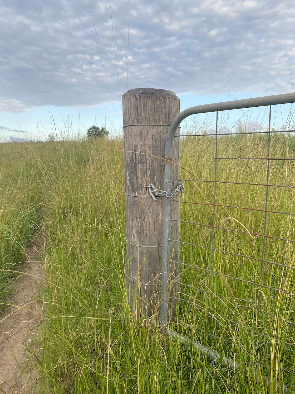 Ellerslie Farm Hipcamp in Kempsey, New South Wales